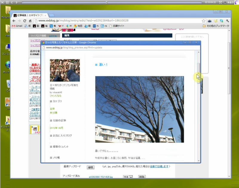07_写真と文章の投稿_e0272083_20445892.jpg