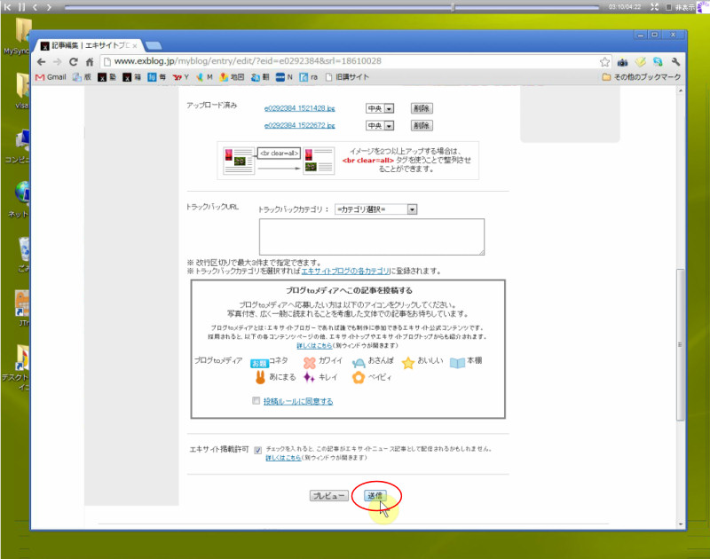 07_写真と文章の投稿_e0272083_2045528.jpg