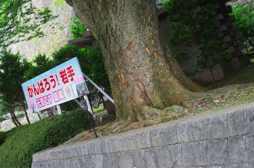 e0281090_20465652.jpg