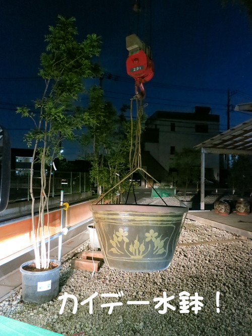第61回 江戸趣味納涼大会 うえの夏まつり 植木市 最終日_b0200291_21402048.jpg