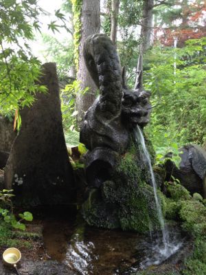 獲物確保_a0134394_172927.jpg
