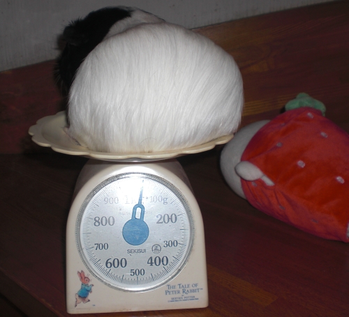 c0241498_22544625.jpg