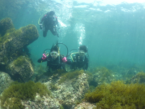 e0115199_20523546.jpg