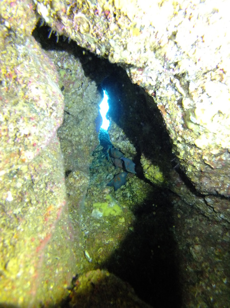 e0115199_20593599.jpg
