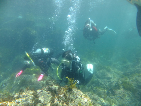 e0115199_2105372.jpg