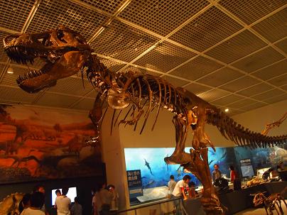 a0240108_637659.jpg