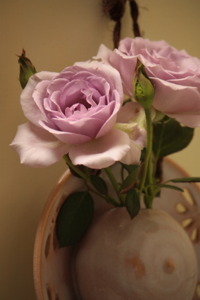 d0001008_18275535.jpg