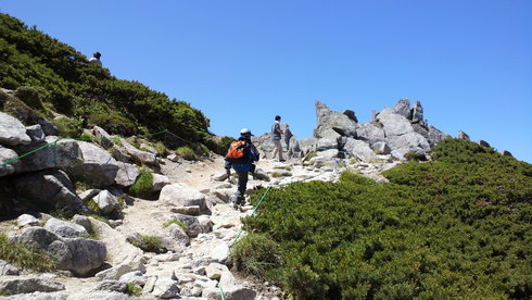 d0238608_07720.jpg