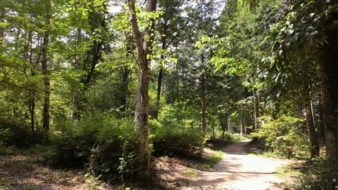 d0238608_1394662.jpg