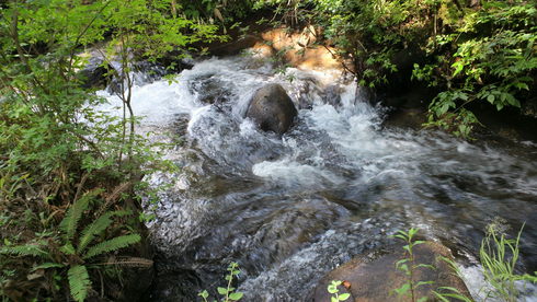 d0238608_140243.jpg