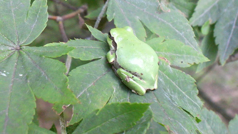d0238608_1593380.jpg