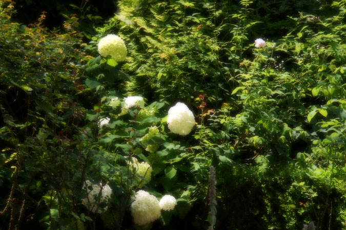 a0263109_22373968.jpg