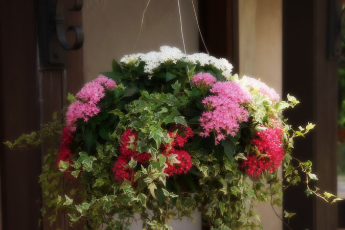 a0263109_2239653.jpg