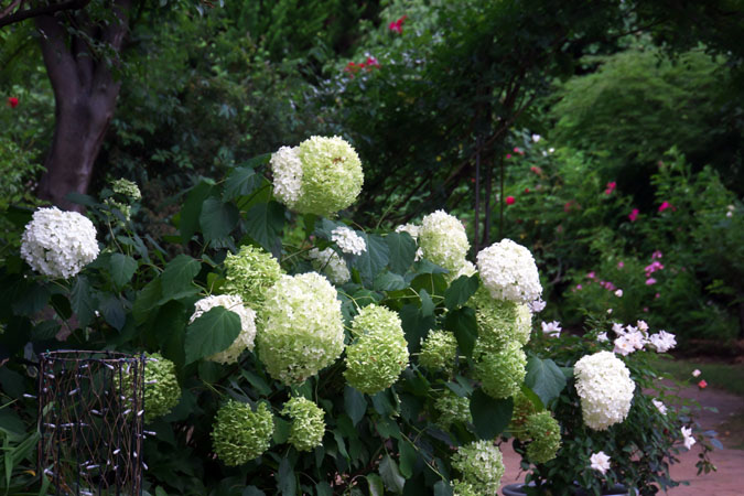 a0263109_22483551.jpg