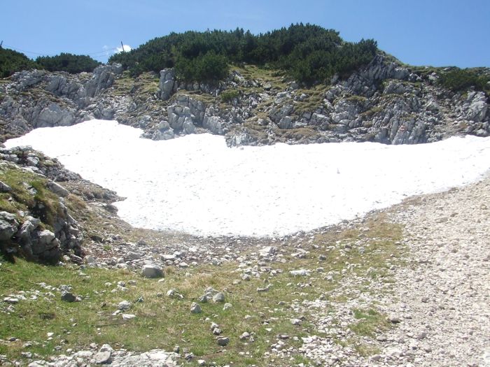 c0167813_1521878.jpg
