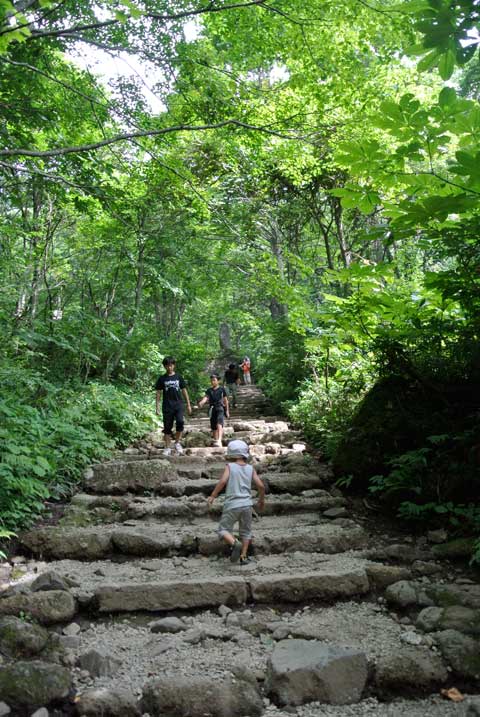 戸隠神社に見る日本のパワースポットとは....._e0049318_2142478.jpg