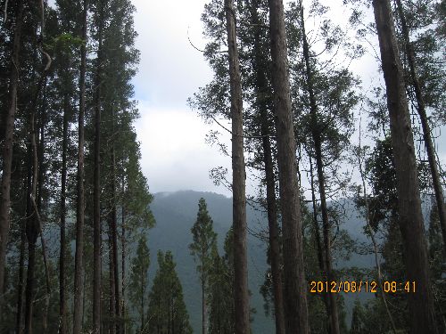 f0193521_1556125.jpg