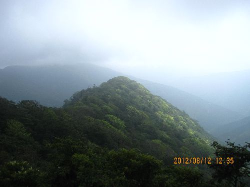 f0193521_1617671.jpg