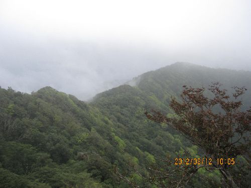 f0193521_1622110.jpg
