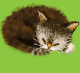 c0123031_4344545.gif