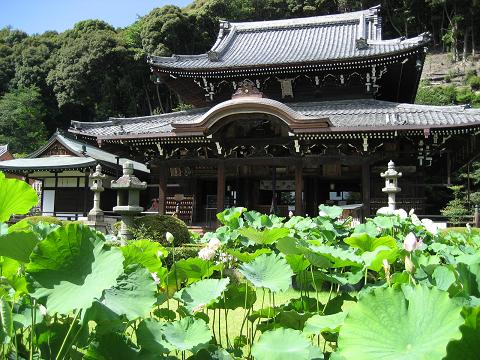 c0081032_1226740.jpg