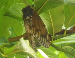 c0180341_64958.jpg