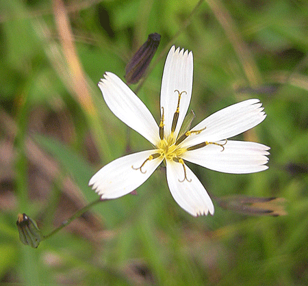 a0001354_1512506.gif