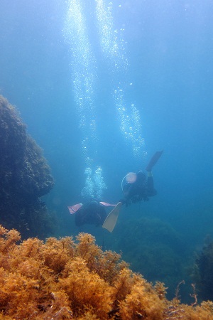 e0284355_21241211.jpg