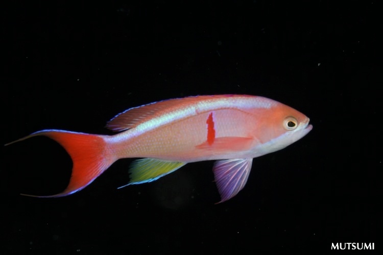 e0158261_201239.jpg