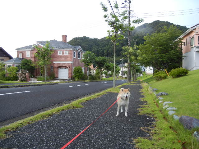 ’12,8,13(月)お盆だよん!_f0060461_10354088.jpg