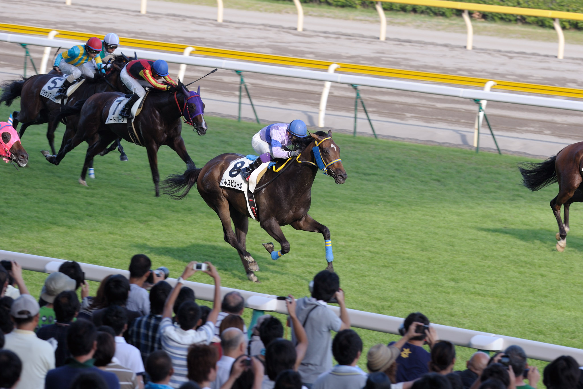 その他（2012年8月12日新潟競馬）_a0124367_8514840.jpg