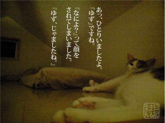 すっかり猫部屋です_f0079967_10121120.jpg