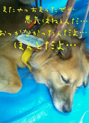 f0238772_23241798.jpg