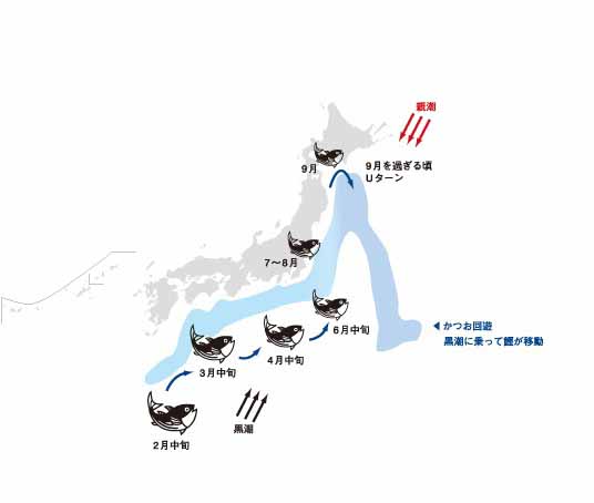 衣奈海岸でカツオが謎の大量死 + 病怪式_c0139575_223516.jpg
