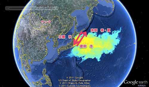 衣奈海岸でカツオが謎の大量死 + 病怪式_c0139575_332847.jpg