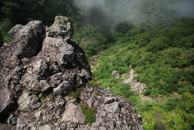 とてもゆっくり立山縦走記　その３　雷鳥沢～弥陀ヶ原_c0196076_9265975.jpg