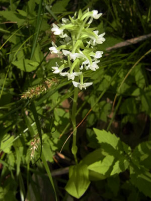 f0083977_1121121.jpg