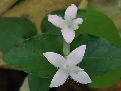 f0083977_11214559.jpg