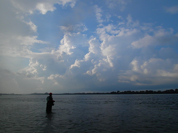 c0197578_127433.jpg