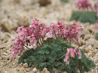 e0271890_179534.jpg