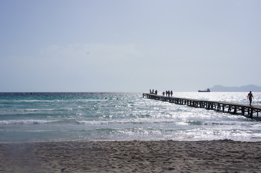 c0062495_71650.jpg