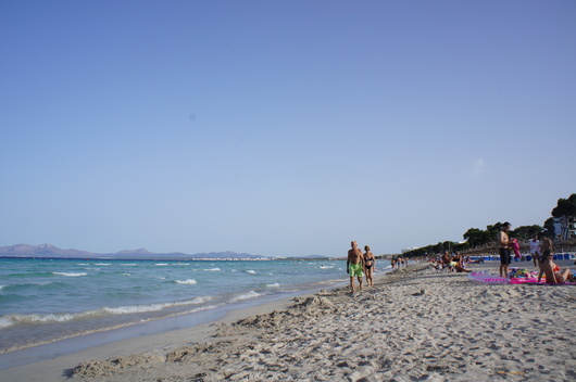 c0062495_735783.jpg