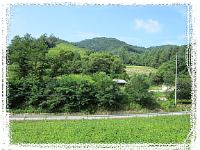 b0194098_1259117.jpg