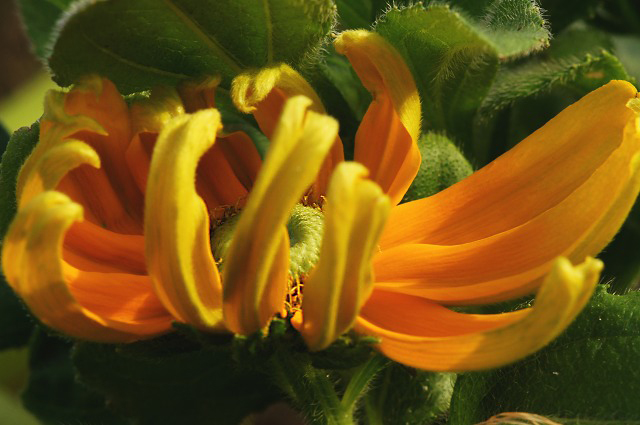 e0039703_23463919.jpg
