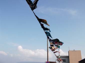 e0008704_155766.jpg