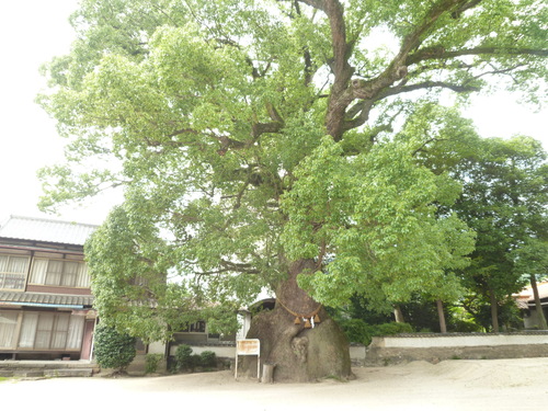 f0197504_3234453.jpg