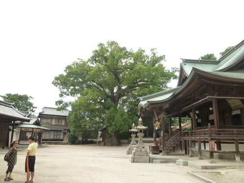 f0197504_3274781.jpg