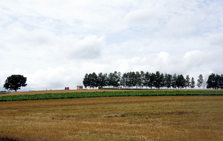 c0148705_2123840.jpg