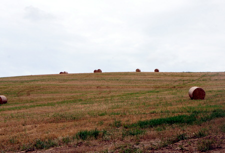 c0148705_21263654.jpg