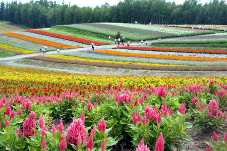 c0148705_2141473.jpg